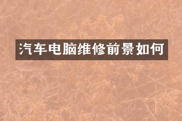 汽车电脑维修前景如何