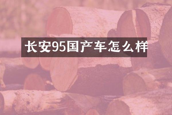 长安95国产车怎么样