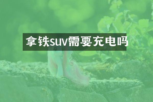 拿铁suv需要充电吗