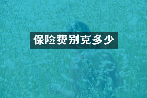 保险费别克多少
