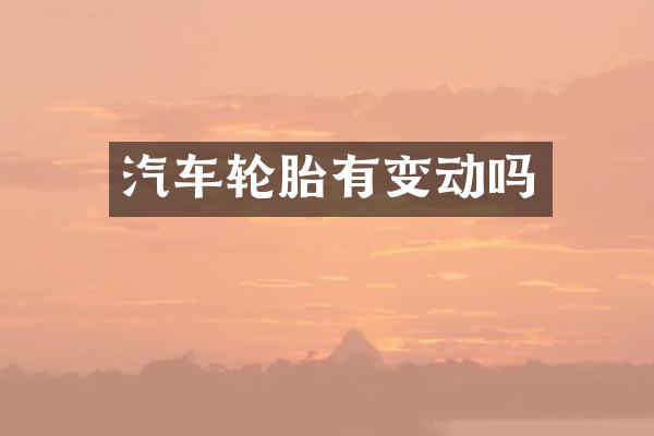 汽车轮胎有变动吗