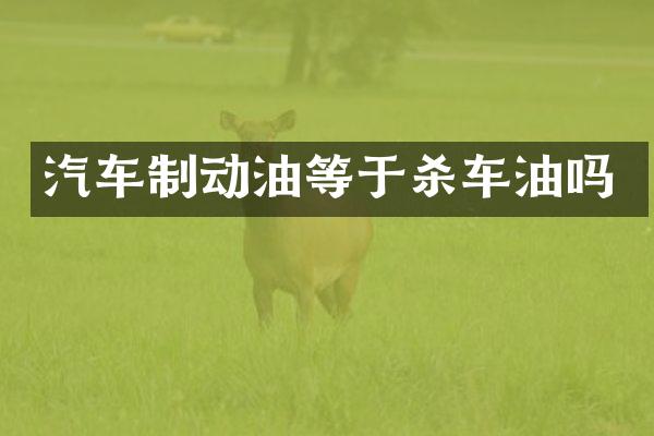 汽车制动油等于杀车油吗