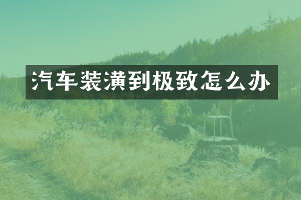 汽车装潢到极致怎么办