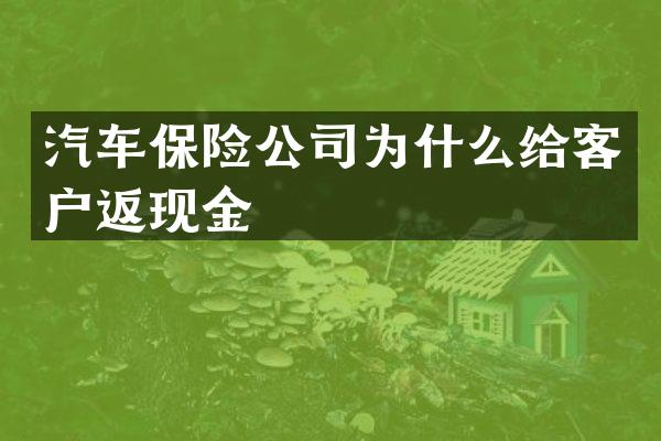 汽车保险公司为什么给客户返现金