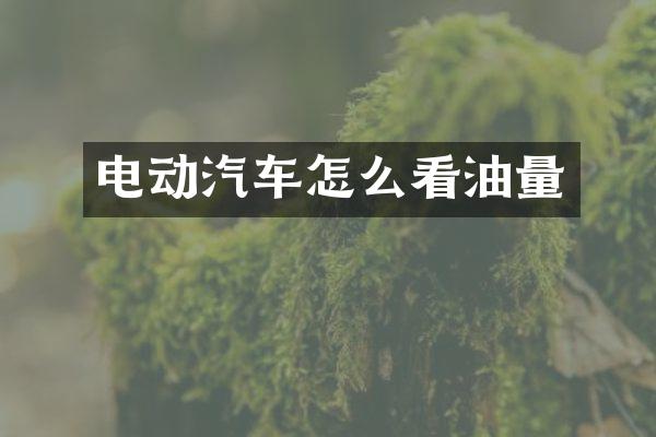 电动汽车怎么看油量