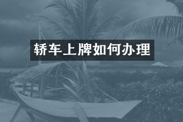 轿车上牌如何办理