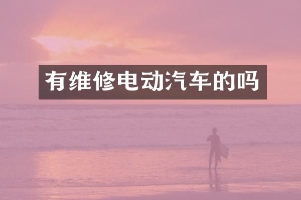 有维修电动汽车的吗