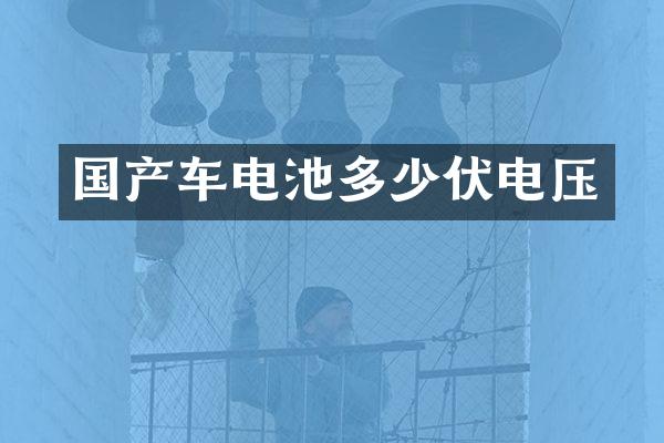 国产车电池多少伏电压