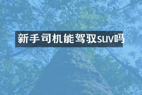 新手司机能驾驭suv吗