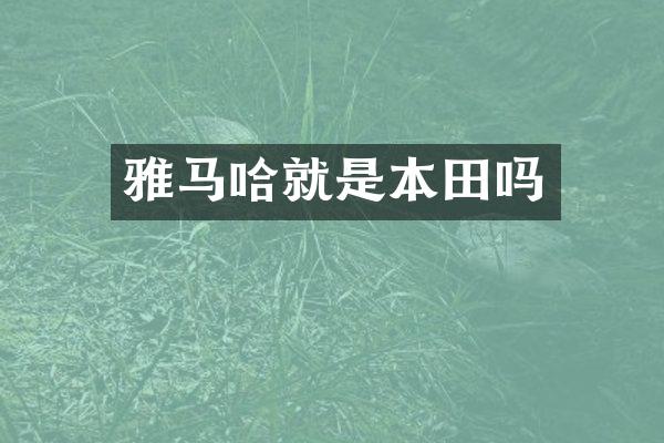 雅马哈就是本田吗
