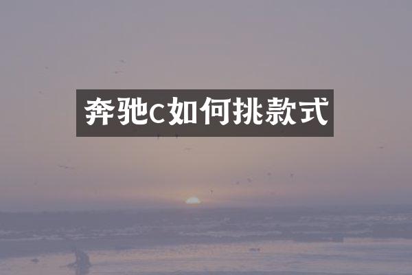 奔驰c如何挑款式