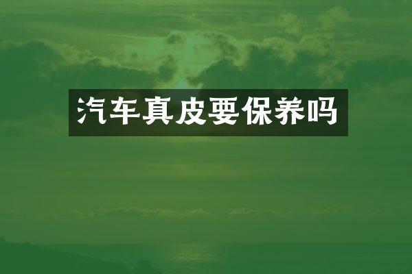 汽车真皮要保养吗