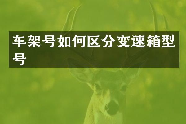 车架号如何区分变速箱型号