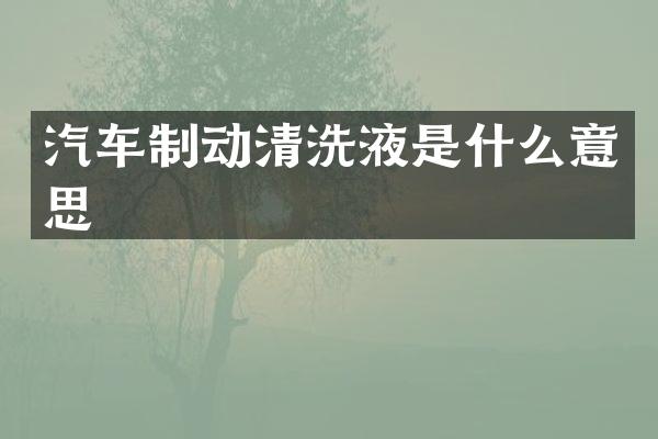 汽车制动清洗液是什么意思