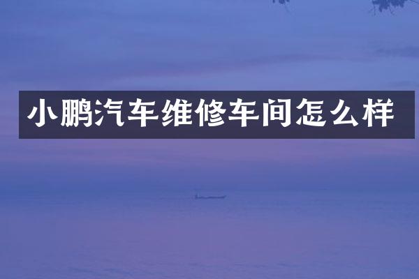 小鹏汽车维修车间怎么样