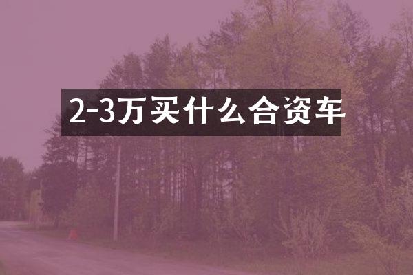 2-3万合资车