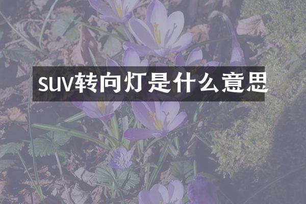 suv转向灯是什么意思