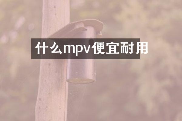 什么mpv便宜耐用