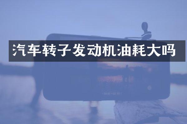 汽车转子发动机油耗大吗