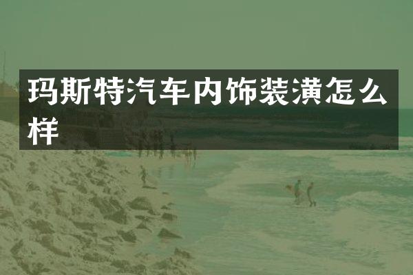 玛斯特汽车内饰装潢怎么样