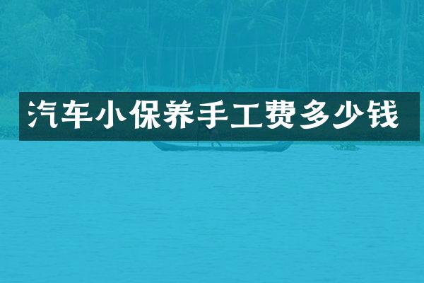 汽车小保养手工费多少钱