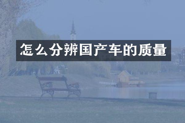 怎么分辨国产车的质量
