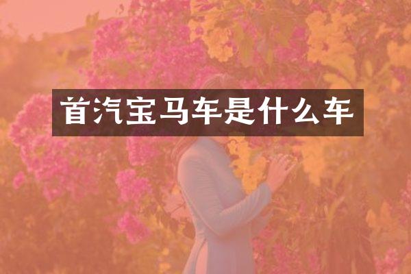 首汽宝马车是什么车