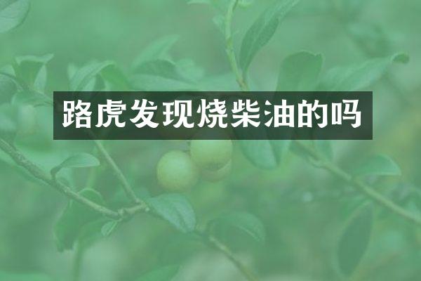 路虎发现烧柴油的吗