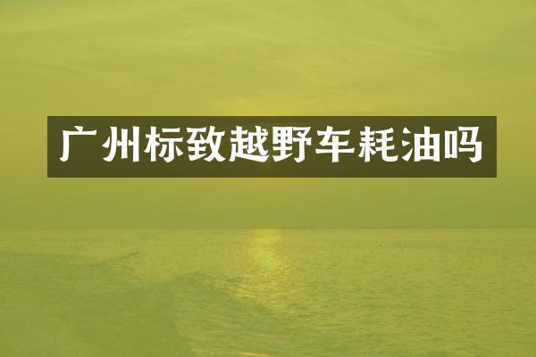 广州标致越野车耗油吗