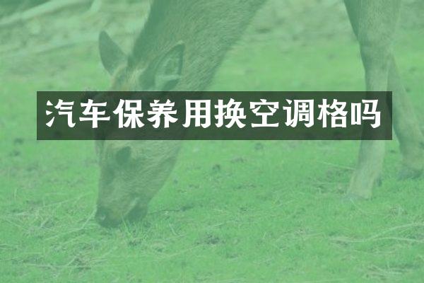 汽车保养用换空调格吗