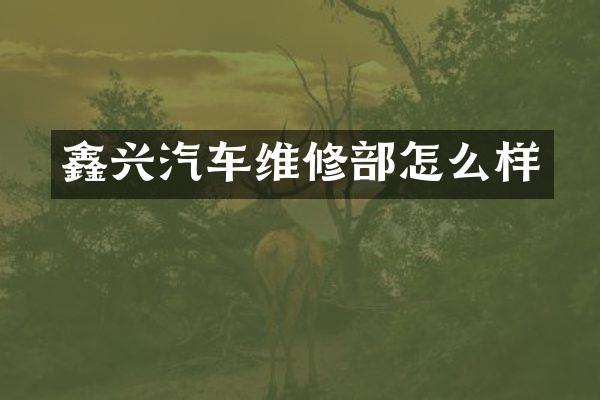 鑫兴汽车维修部怎么样