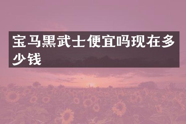 宝马黑武士便宜吗现在多少钱