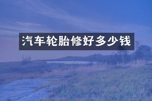 汽车轮胎修好多少钱