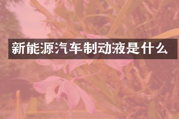 新能源汽车制动液是什么