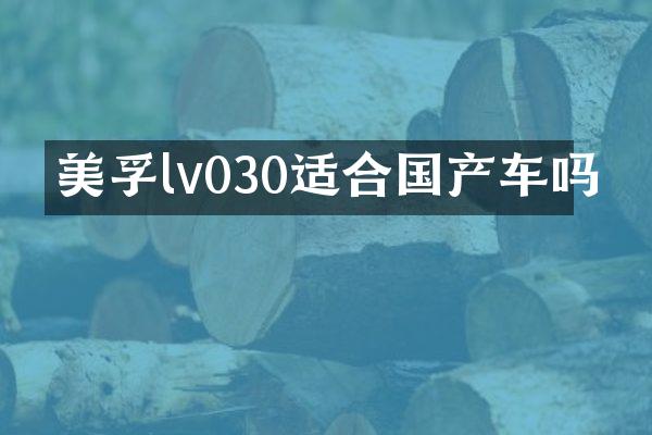 lv030适合国产车吗