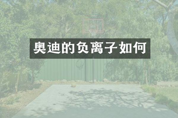 奥迪的负离子如何