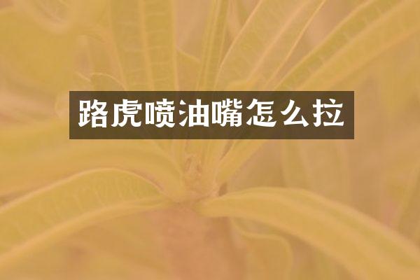 路虎喷油嘴怎么拉