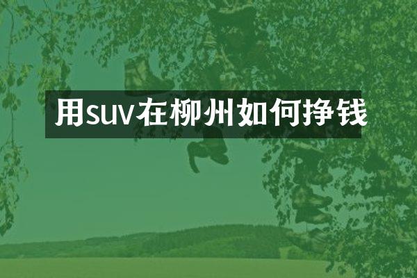 用suv在柳州如何挣钱