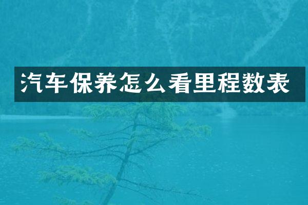 汽车保养怎么看里程数表