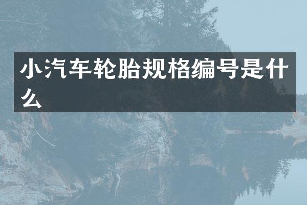 小汽车轮胎规格编号是什么