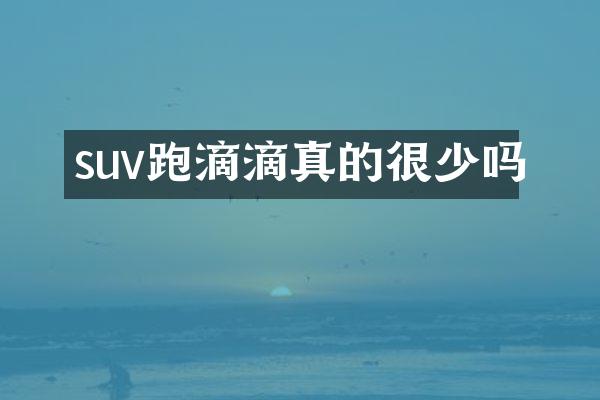 suv跑滴滴真的很少吗
