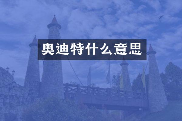 奥迪特什么意思