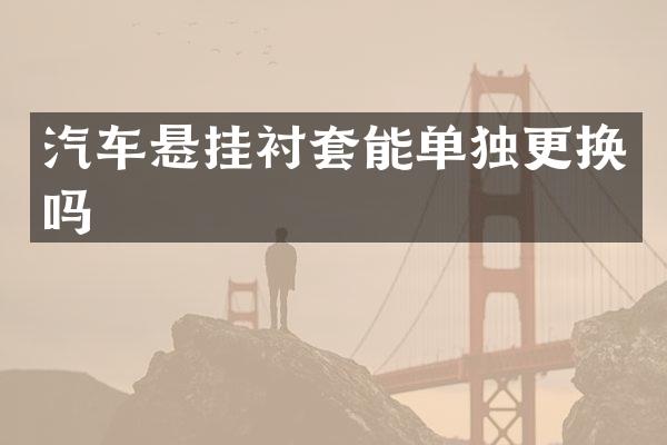 汽车悬挂衬套能单独更换吗