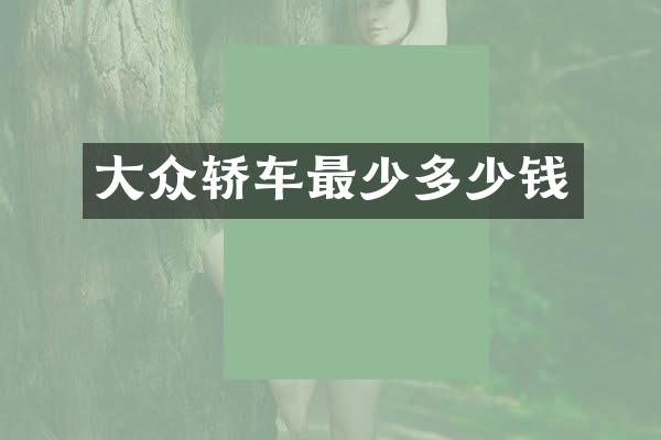 大众轿车最少多少钱