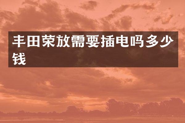丰田荣放需要插电吗多少钱