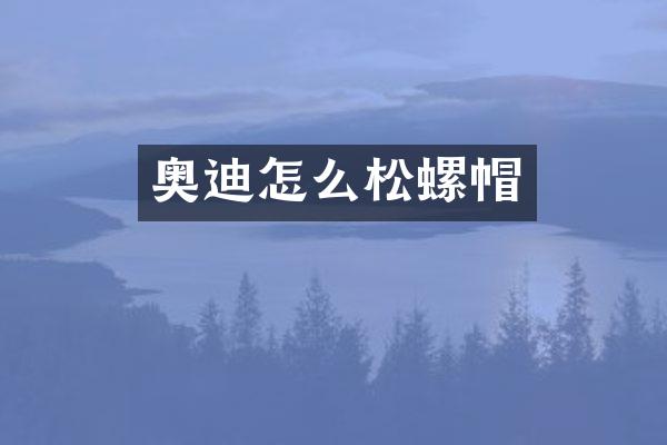 奥迪怎么松螺帽