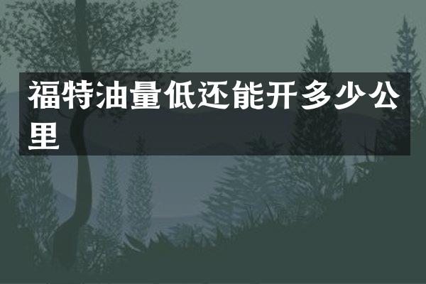 福特油量低还能开多少公里
