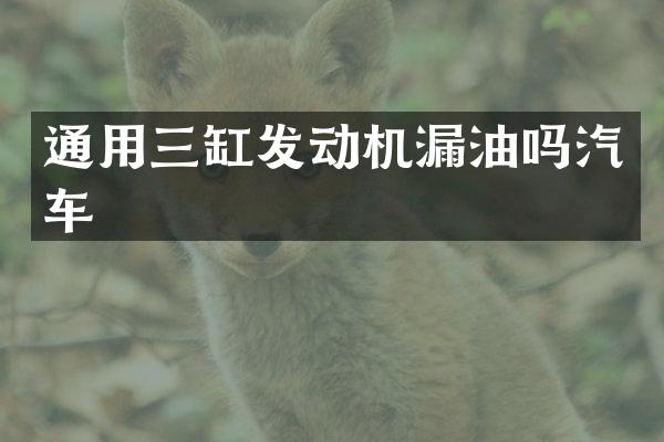 通用三缸发动机漏油吗汽车