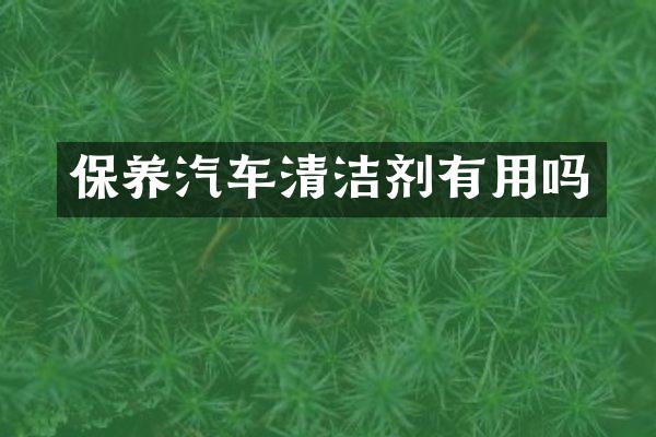 保养汽车清洁剂有用吗