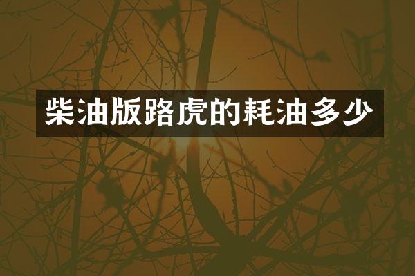 柴油版路虎的耗油多少